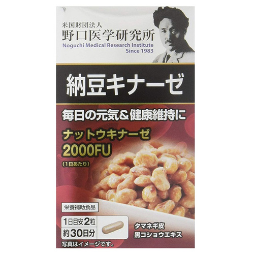 노구치의학연구소 나토키나제